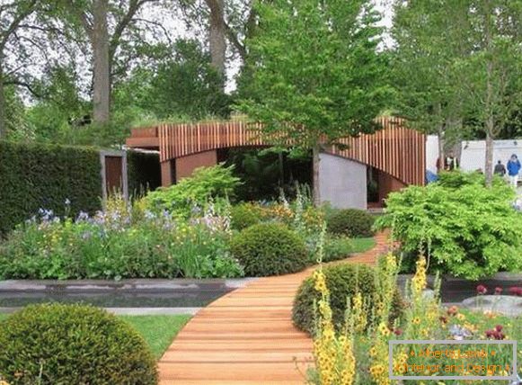 Lijep i moderan dizajn vrtova - fotografija