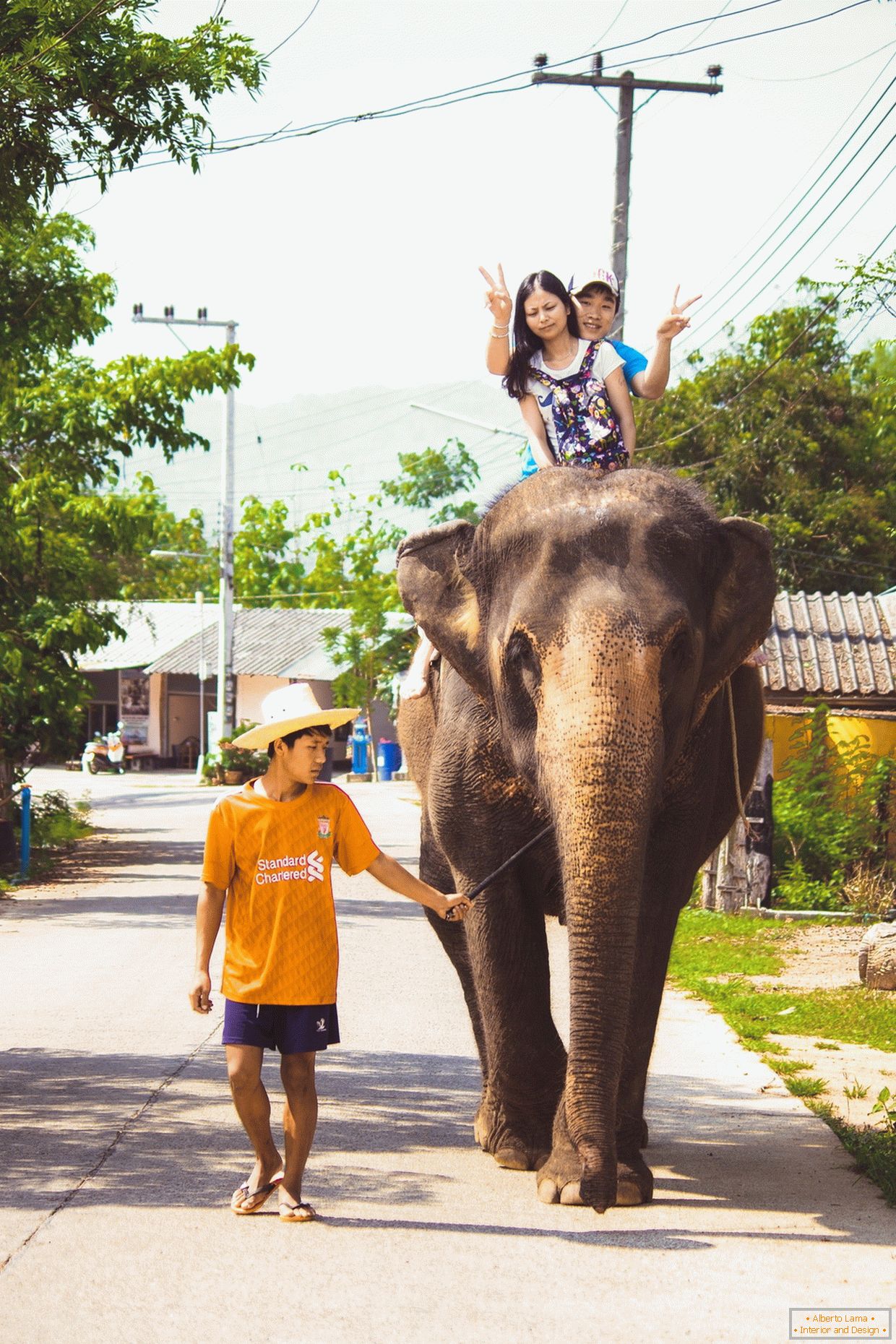 Putujući na slonu