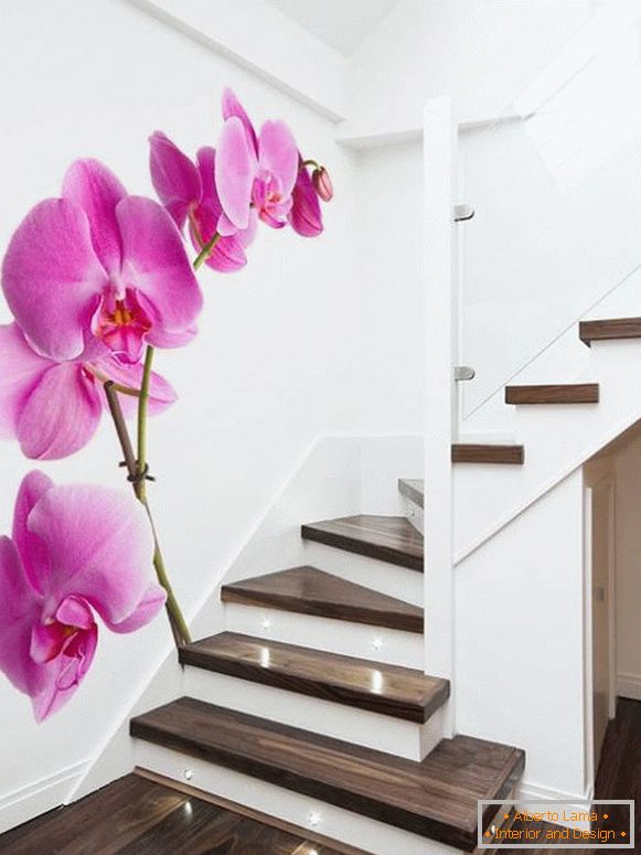Fotografije orhideja na stepenicama