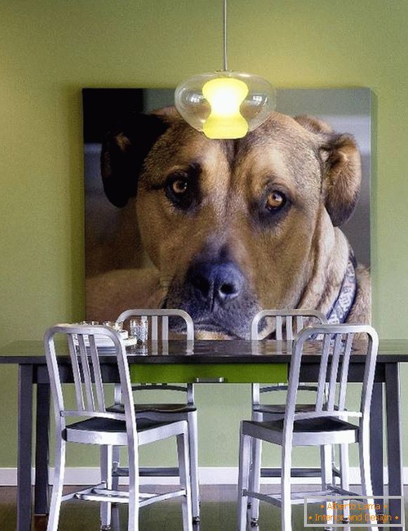 Fotografija psa kao ukras zida