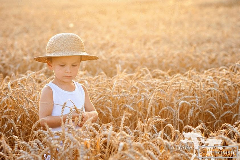 Dijete u polju pšenice
